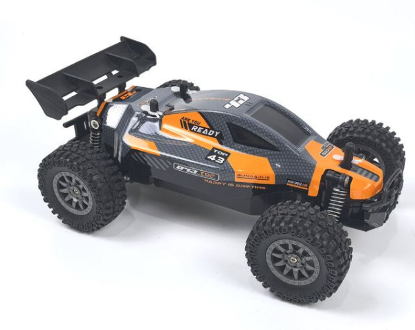 3147 ROOKIE-Fighter Buggy 1:18 2WD DF RTR